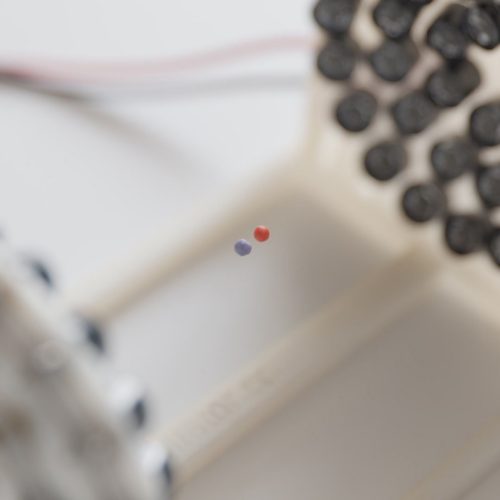 NYU physics researchers have observed a new type of time crystal—one whose particles levitate on a cushion of sound while interacting with each other by exchanging sound waves. Photo by David Song/NYU